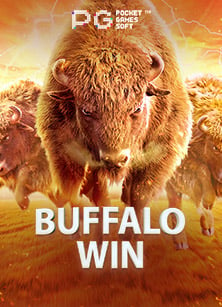 สำรวจทาง เข้า king189 เกม ไฮโล y8 และการทดลองเล่น